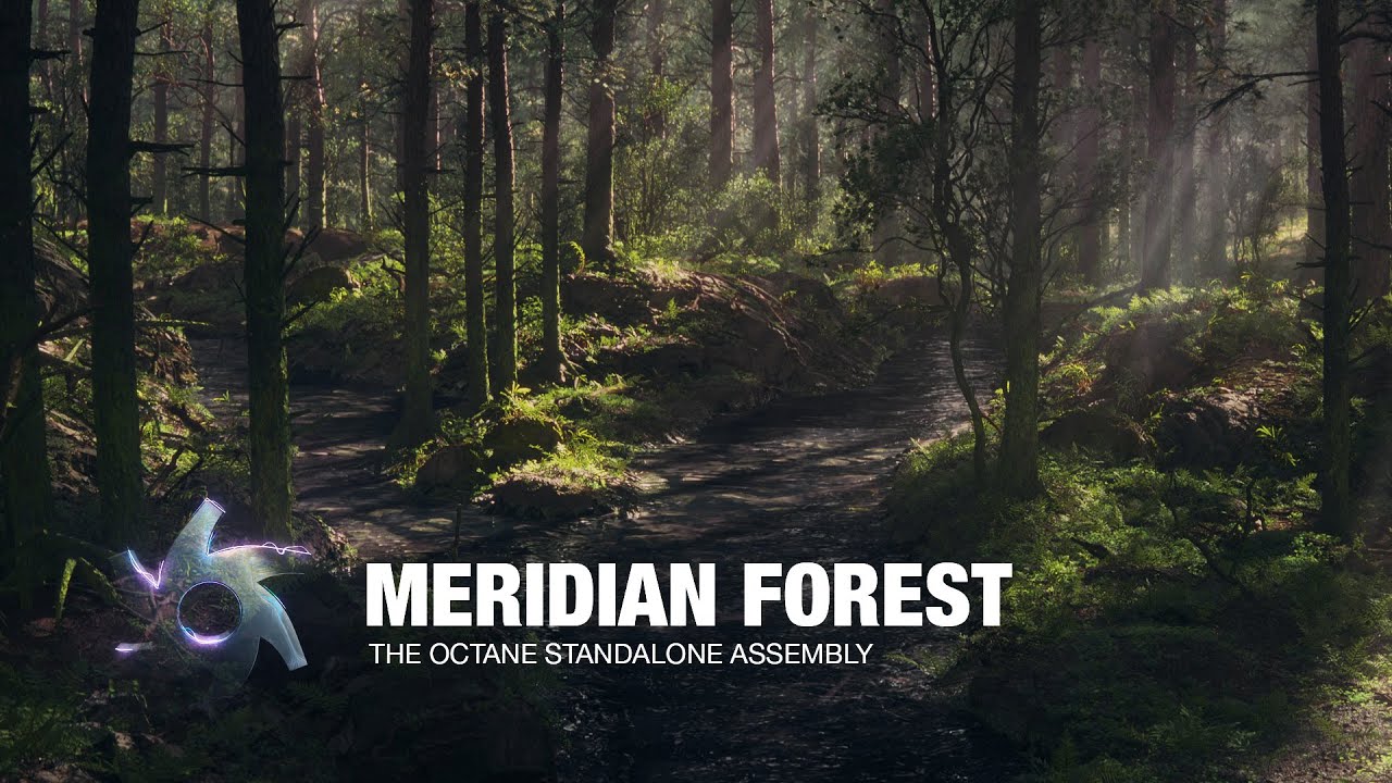 Meridian Forest | CG Scene Breakdown