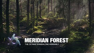 Meridian Forest Cg Scene Breakdown