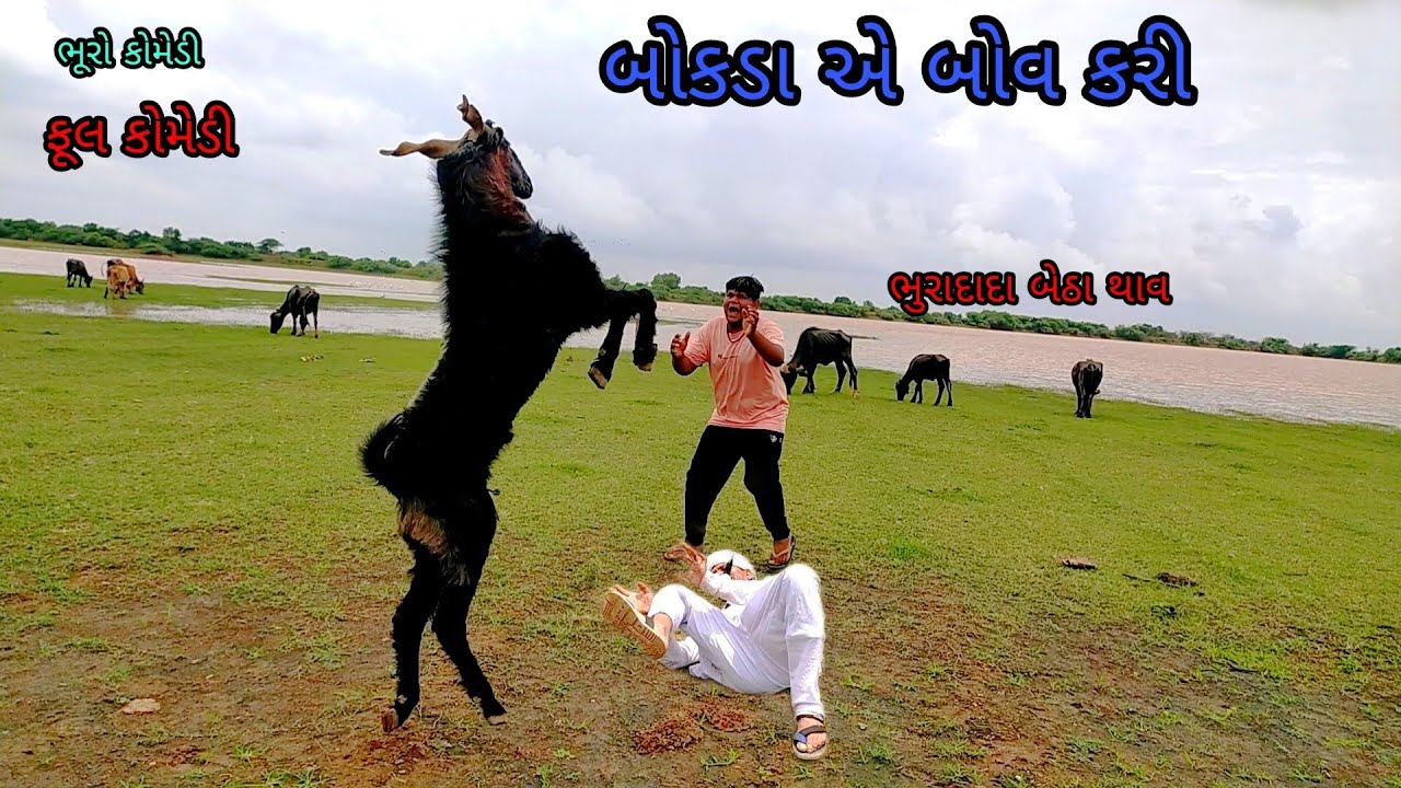 બોકડા એ બોવ કરી |bhurocomedy|gujaraticomedy|bccomedy