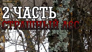 СТРАШНЫЕ ЗВУКИ ИЗ ЛЕСА! огромный лес остаётся тайной. 2 часть