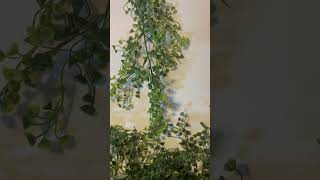 New Focus Wall Alert #PastorAnniversary #ChurchDecor #GreenWall   #EventsbyTVL  #HandmadeDecor