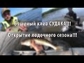 Бешеный клев СУДАКА!!! Открытие лодочного сезона!!! 16.06.2022