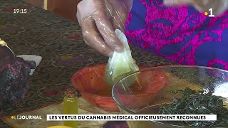 Les vertus du cannabis médical officieusement reconnues