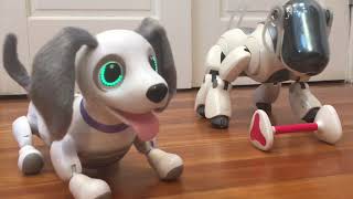 Zoomer Playful Pup and Sony Aibo ERS7M3