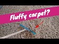 How to Fluff Carpet | Rendall's Cleaning