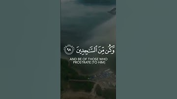 أرح سمعك 🥀القارئ: هزاع البلوشي 🍃 حالات واتس آب