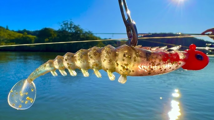 How to Catch Flathead on Squidgy Soft Plastics 