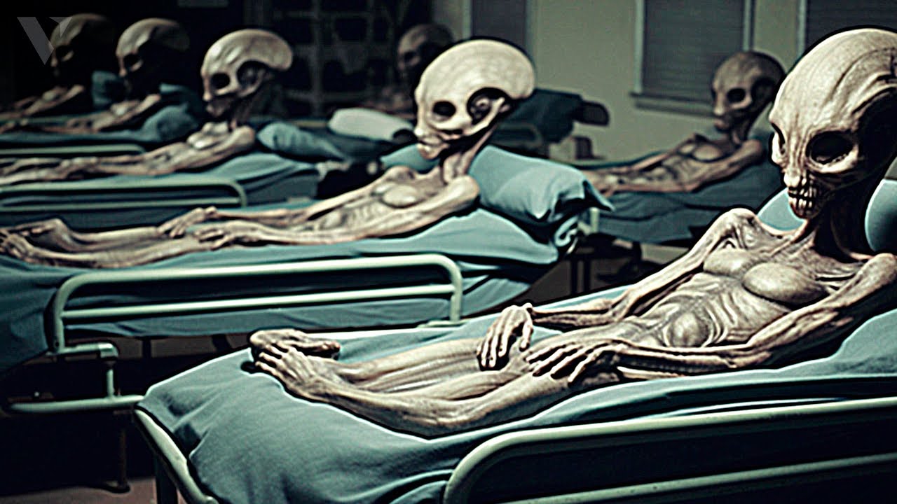 US Navy Official FINALLY Breaks Silence on UFO & Alien Evidence