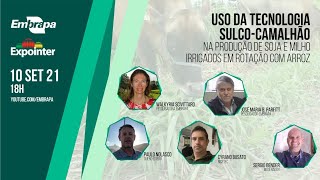 Uso da tecnologia sulco-camalhão na produção de soja e milho irrigados em rotação com arroz screenshot 1