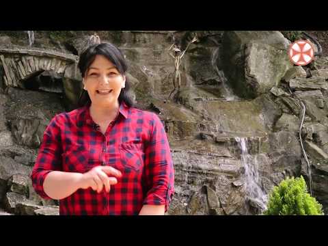 კულინარიული გადაცემა ,,ჩვენი ტრაპეზი” (01.06.2019)