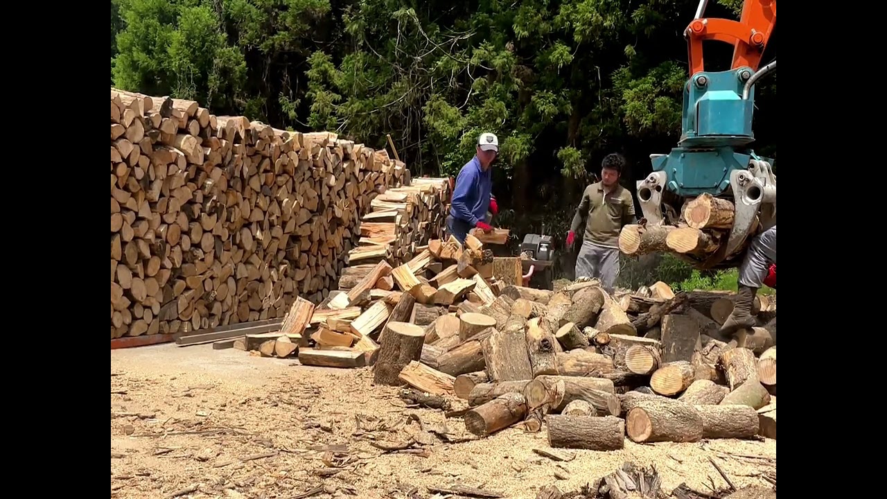 薪割り【寝る前に見るとぐっすり眠れるはず笑】#田舎暮らし #林業 #自然 #薪割り