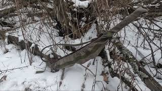 картинка: Охота на куницу. Ад сезона или самый трудовой трофей.