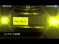 LEDランタイムライトキット『DBC Plus』Yellow 2400k