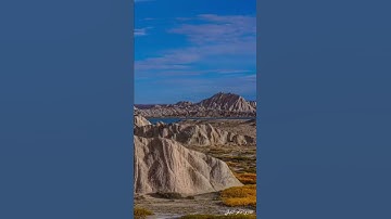 ﴿فَمَن يُرِدِ اللَّهُ أنْ يَهْدِيَهُ يَشْرَحْ صَدْرَهُ لِلإسْلامِ ..﴾ القارئ ماهر المعيقلي .