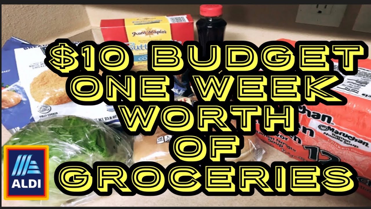 Groceries For 1 Week With Only $10 At Aldi Part 2 | $10 Budget | Second Try