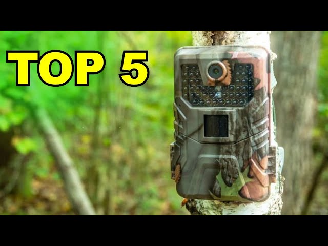 Best 4K Solar Hunting Camera for Wildlife Surveillance and Outdoor  Activities — Eightify