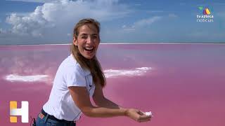 La belleza: Las Coloradas. Ahí la segunda salinera más importante del país. Flamencos y aguas rosas