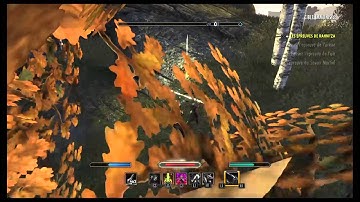 Teso wtf this life bug