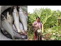 Fish Fishing in Village Pond by women / Cooking Fish Curry with Ol Recipe.