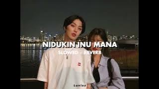 NIDUKIN INU MANA | SLOWED   REVERB