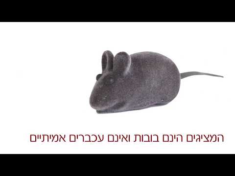 וִידֵאוֹ: הריגת עכברים: פתרונות חלופיים לבעיה