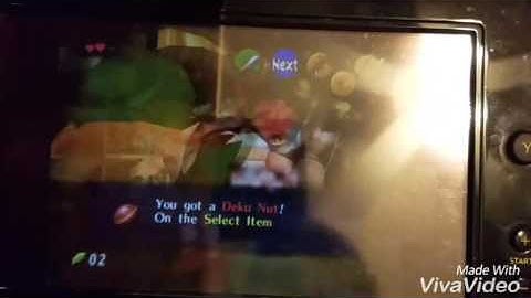 Nuts GIM w/out crashing (Wii U VC)