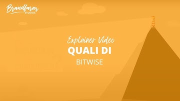 Explainer Video: Bitwise - QualiDI