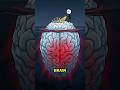 How Money Rewires Your Brain #money #psychology #scary #reality #horror #rich