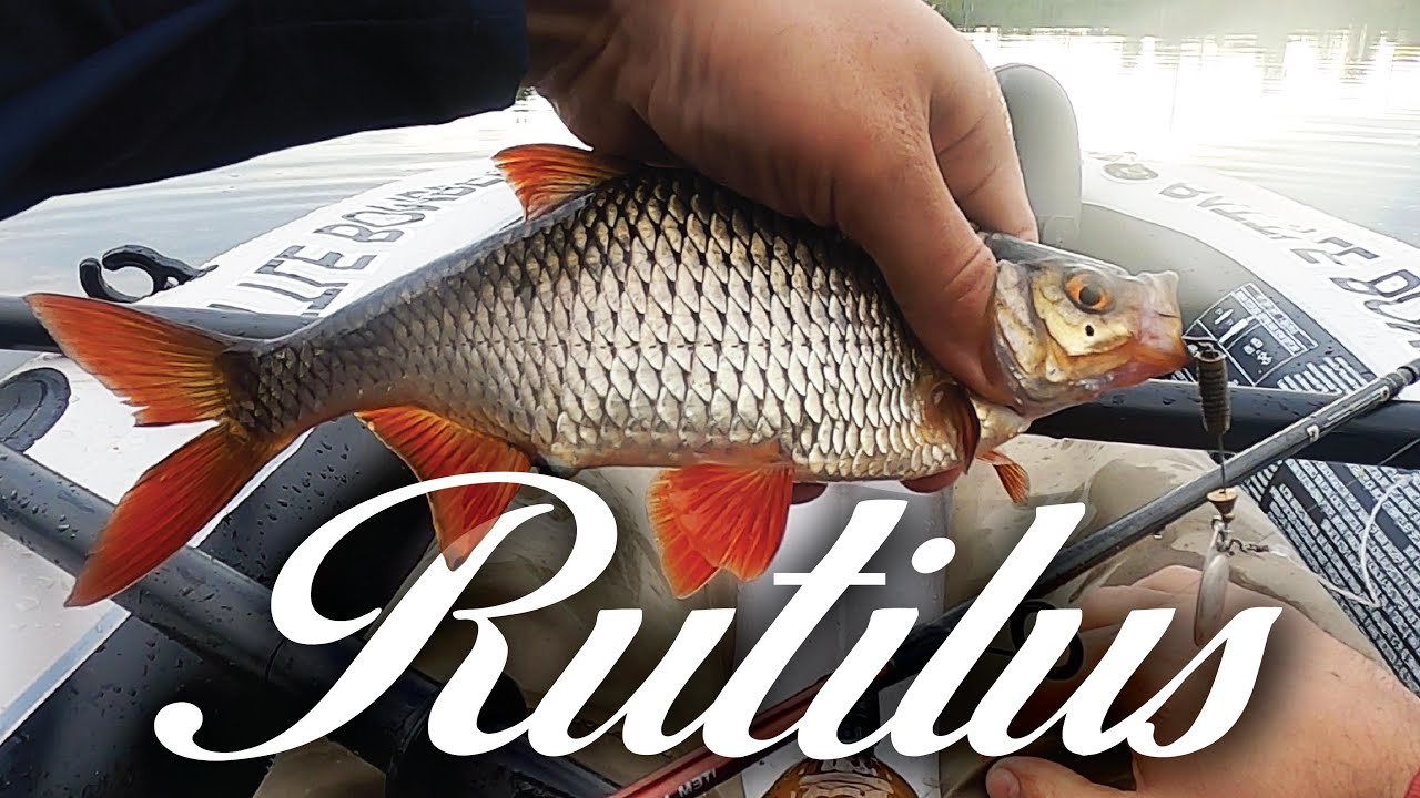 Two days Fishing adventure. Wild forest lake without predators. Sleeping on boat (BestWay).