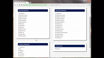 Avant-Garde Gateway: Virtual Terminal Configuration