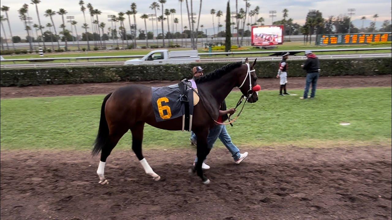 Duty First wins race 9 at Los Alamitos Thoroughbred - YouTube