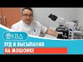 🙁 Зуд и высыпания на мошонке. Клинический случай №795