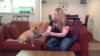 Speech Perception Intervention