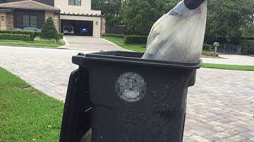 Removing maggots from trash can- a 4D experience