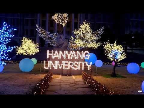 The Shining Lion of Hanyang University