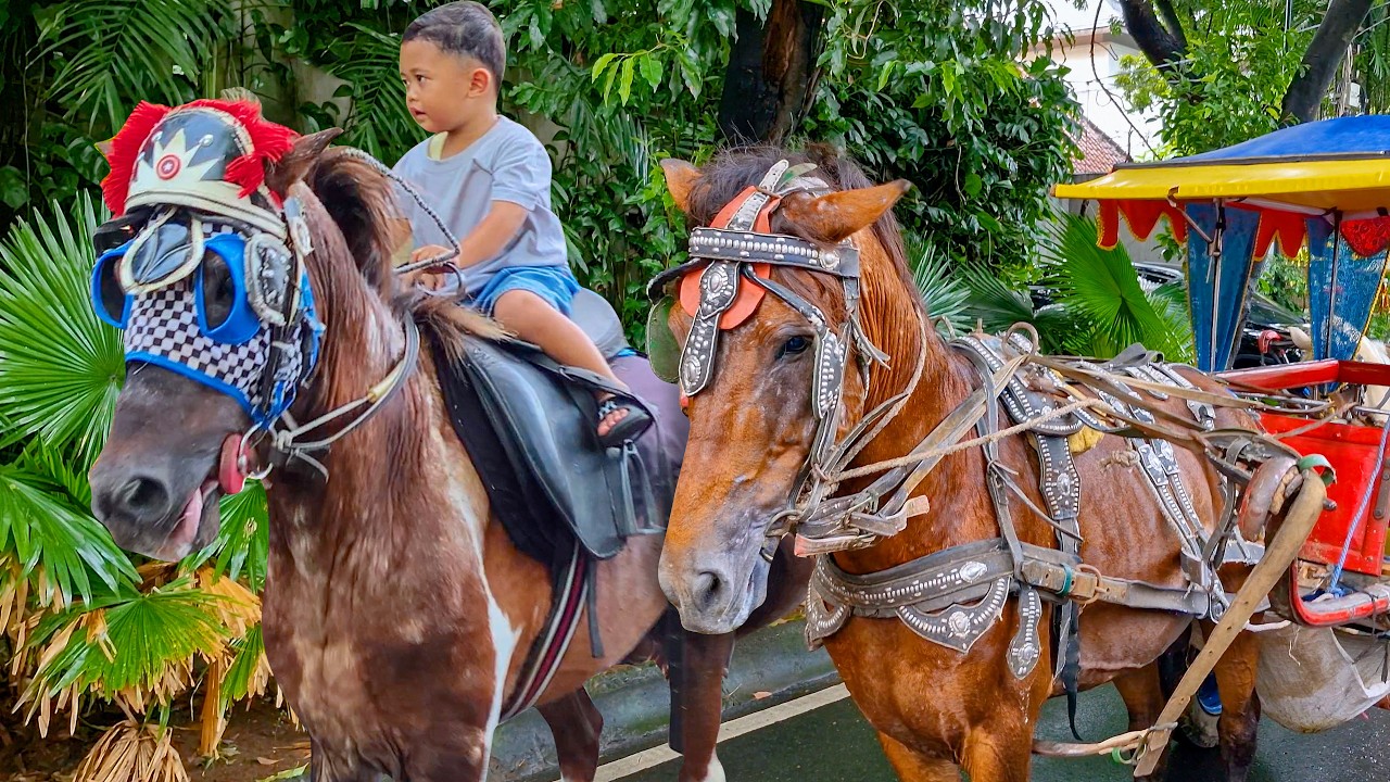 NAIK DELMAN ISTIMEWA 🐎 LAGU ANAK ANAK - KUDA DELMAN