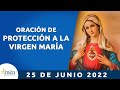 Oración de Protección a la Virgen María l Padre Carlos Yepes l María l Amén
