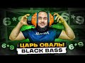 Овальный сабвуфер? DL Audio Phoenix Black Bass 69