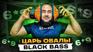 Овальный сабвуфер? DL Audio Phoenix Black Bass 69