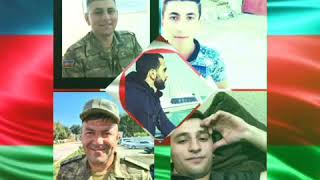 Vetene Aid Video Status