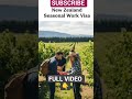 NEWZEALAND SEASONAL WORK VISA | NEWZEALAND WORK PERMIT #DreamScreenAI