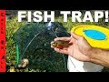 Umbrella Fish Trap Hurricane Tips!