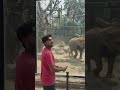 #india #motivation #needsupport #saudiarabia #ai #animals
