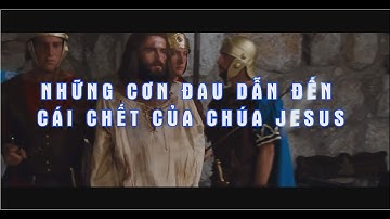 Những cơn đau dẫn đến cái chết của Chúa Giêsu (phần 1)