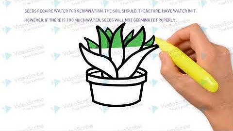 CROP PRODUCTION AND MANAGEMENT{PART4} CLASS 8 SCIENCE\ SMART SIDE