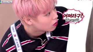 VARIETY SHOW: AMIGO TV WANNAONE SUB INDO PART 2