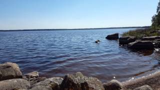 cover image for waves washing against the lakeshore 4K