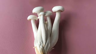 White Shimeji Mushroom mushrooms