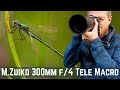 Close-up Photography without a Macro Lens | Olympus M.Zuiko 300mm f/4 Telephoto