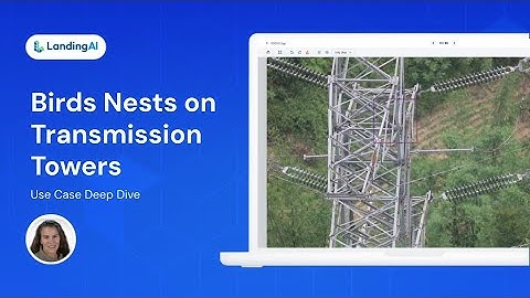 Product Demonstration | Detect Bird Nests on Transmission Towers with LandingLens